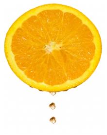 Bitter Orange, Citrus Aurantium